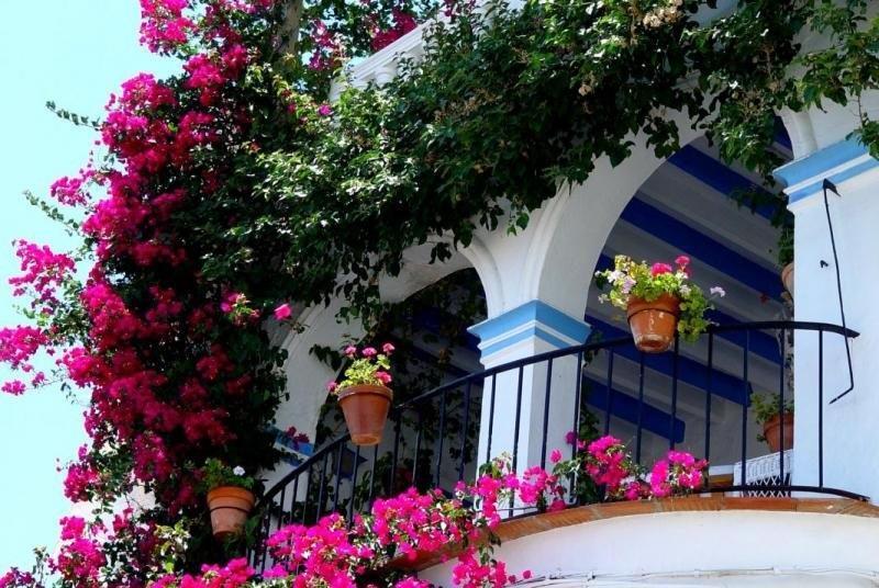 Pension El Torreon モハカル エクステリア 写真