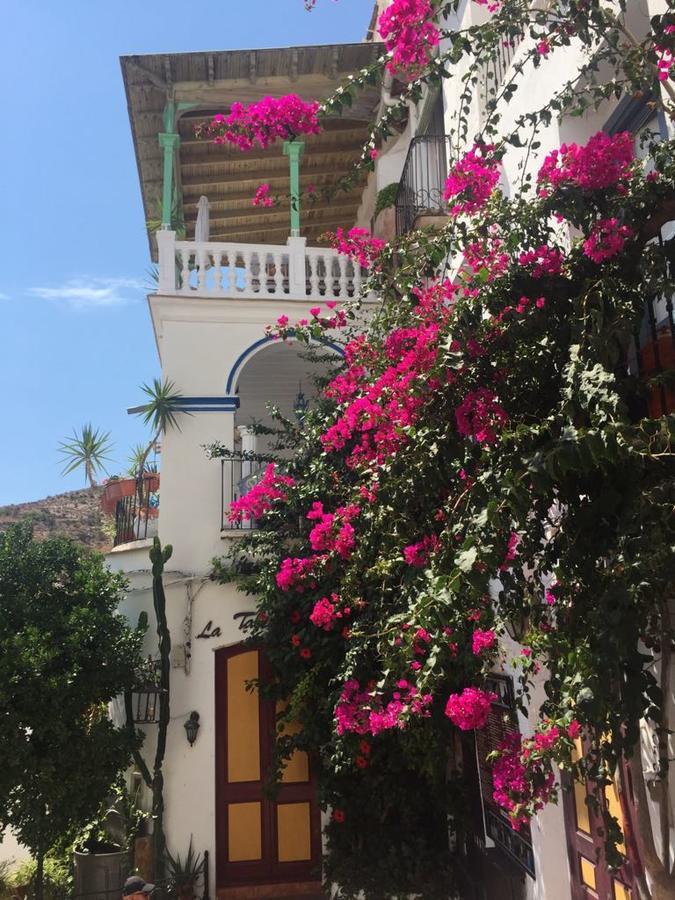 Pension El Torreon モハカル エクステリア 写真